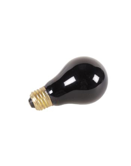 BLACKLIGHT BULB