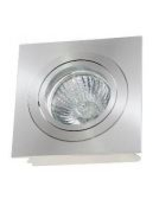 Alu Brush downlight
